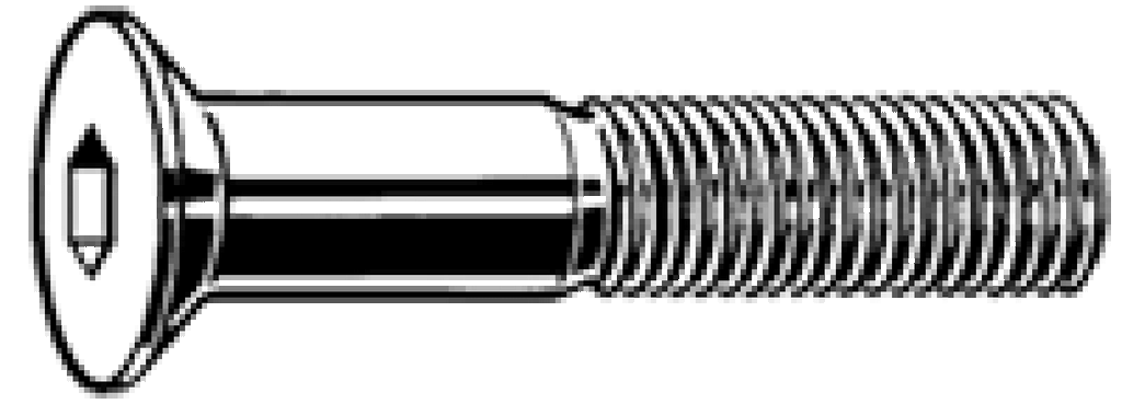 Verz.bout met binnenzeskant M8x50 elvz