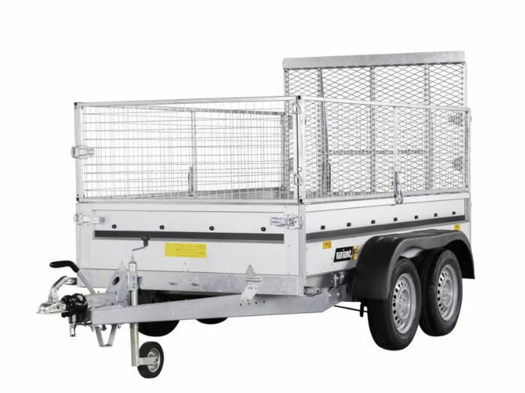 V 2004 F2 MR - 255 x 145 cm Edition
